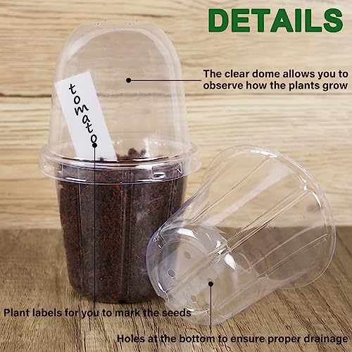 36 Set Nursery Pots with Humidity Dome (Clear)