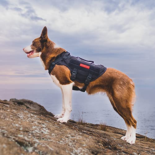 No Pull Tactical Dog Harness for Medium Dog (Black / M)