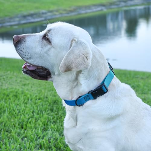 Biothane Waterproof Dog Collar with Quick Release Buckle Strong Coated Nylon Webbing with Odor (5/8"W by 10-14"L / Cerulean Blue)