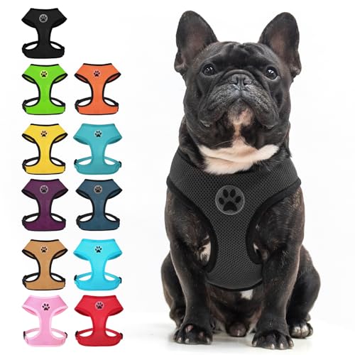 Small Dog Harness (XL (NECK: 20.5", CHEST: 20.5"-27") / Black)