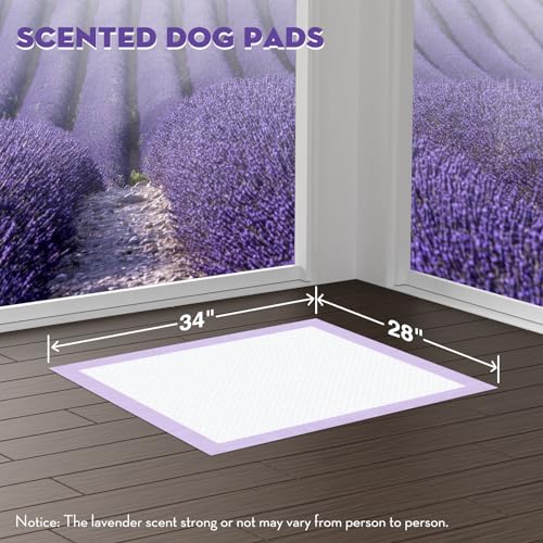 Puppy Pads with Adhesive Tabs Leak Proof Lavender Scent 28x34in 40Ct (Large-28x34in(40Ct))