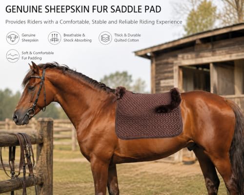Brown Dressage Saddle Pad Sheepskin Lambskin Wool Fleece Horse Pad (Brown)