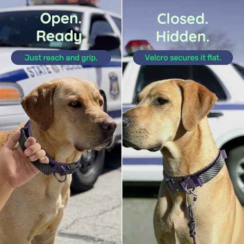 Premium Tactical Dog Collar (Purple / L: Fits Neck 17.5"-21.5")