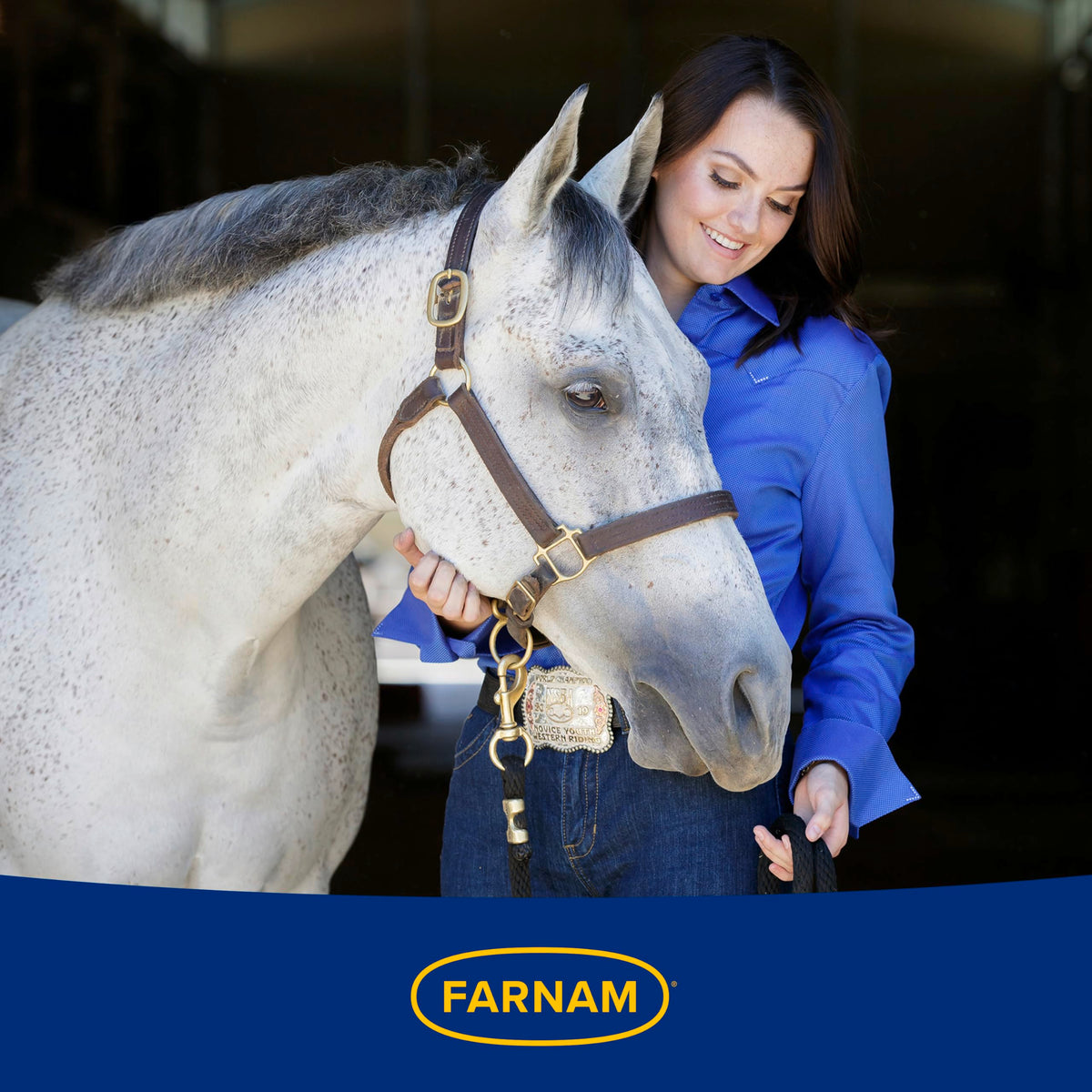 Hindgut Stabilizer Pellets