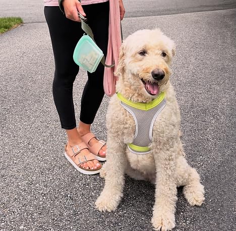 SnapPack Dog Treat Bag