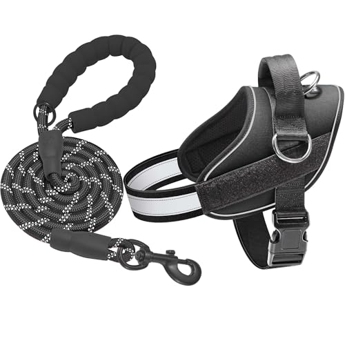 Essential Dog Harness (M / Black)