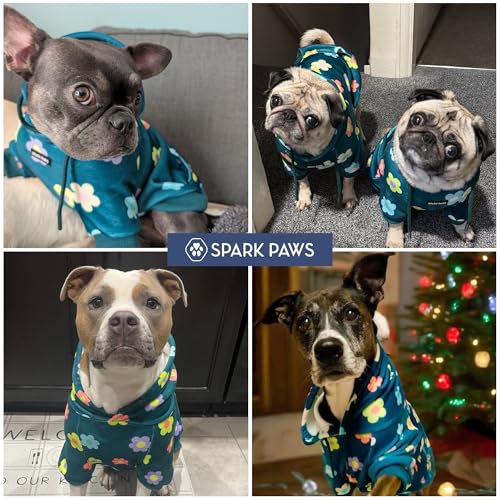 Dog Hoodie Buttery (Daisy / 3XL)