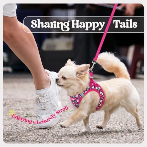 Dog Harness Medium Sized and Leash Set (Pink Berry / M (chest: 16 - 18.5"))