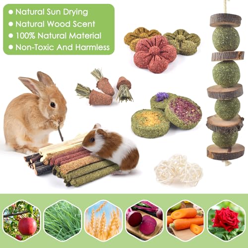 42PCS Rabbit Chew Toys (42)