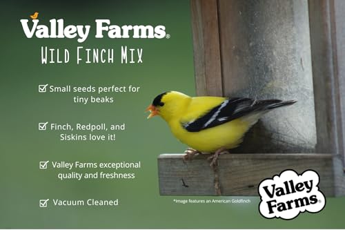 Wild Finch Mix