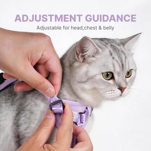 Cat Harness Leash Set with AirTag Holder (Purple for Airtag / L)