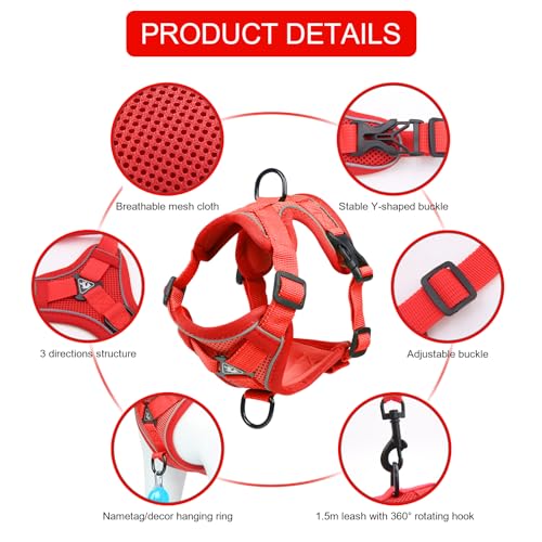 Cat Harness and Leash Set (Red / M)