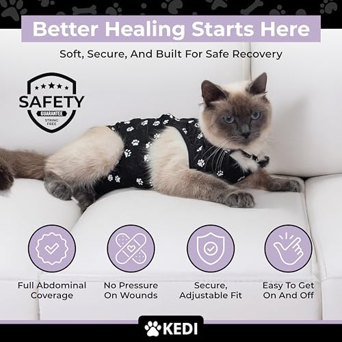 Cat Recovery Suit Female After Spay (Black / Medium)