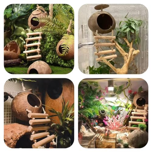 10PCS Crested Gecko Tank Accessories (one)