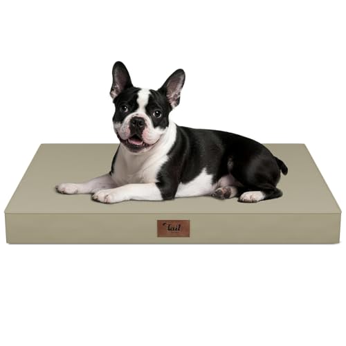 Orthopedic Waterproof Dog Bed for Small Dogs and Cats (khaki / 29.0"L x 18.0"W x 3.0"Th)