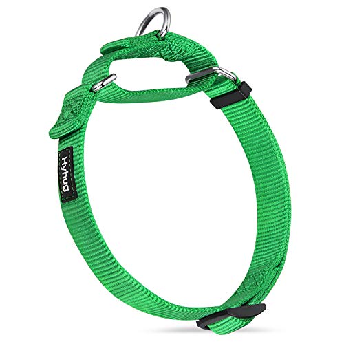Martingale Dog Collars for Medium Dogs (Medium / Lime Green)