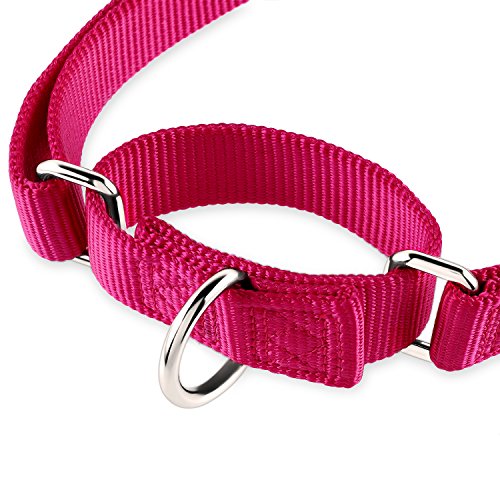 Martingale Dog Collar (Small / Rose Red)