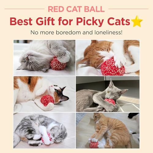 Red Cat Ball 2.7 inch (W/ Bell / 2.7inch)