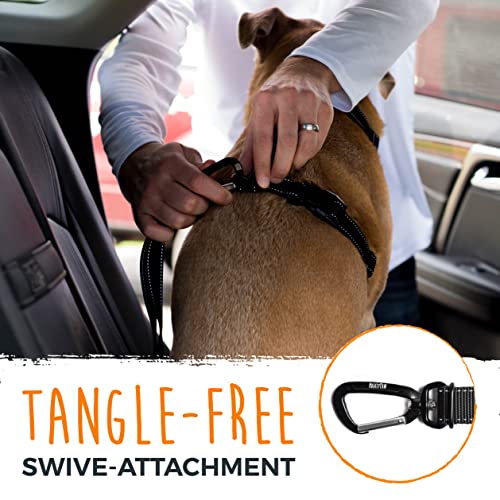 Dog Seat Belt For Car (Latch Bar Attachment)