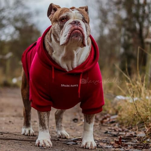 Dog Hoodie Buttery (Burgundy / Large)