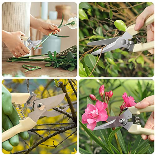 Premium garden shears
