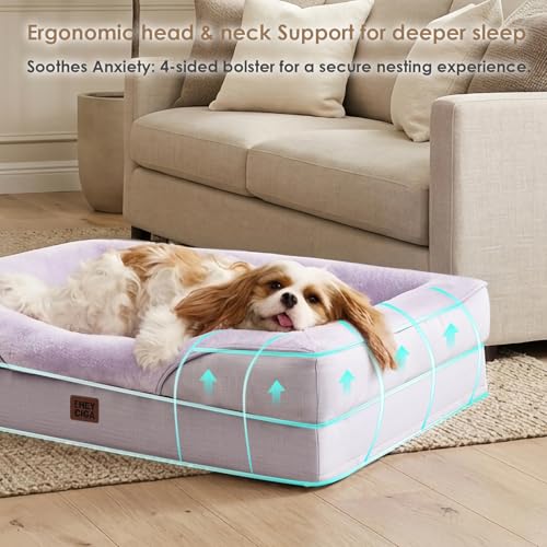 Orthopedic Dog Bed for Medium Dog (Purple / 30x20x6.5)