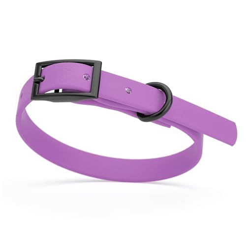 Biothane Waterproof Dog Collar Strong Coated Nylon Webbing with Black Hardware Odor (W1/2" x L9-12" / Amethyst Purple)
