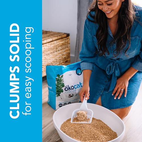 Original Natural Wood Clumping Cat Litter (18.8 lbs / Original)