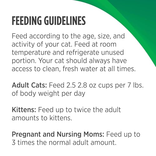 Freestyle Cat & Kitten Wet Cat Food Signature Stew