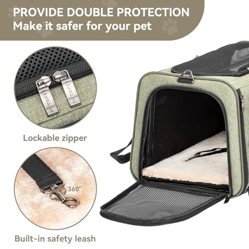 Small Expandable Cat Carrier for Air Travel (16.0"L x 10.0"W x 9.0"H / Green)